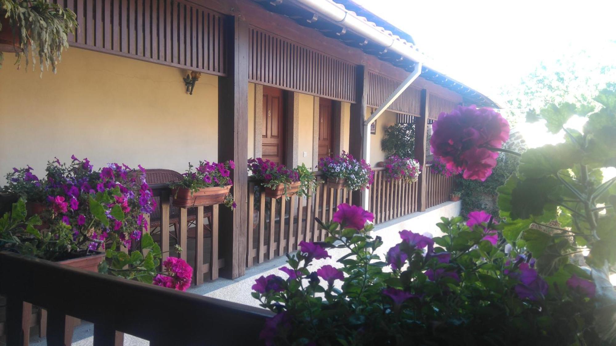 Agroturismo Quinta Dom Jose Брага Екстер'єр фото